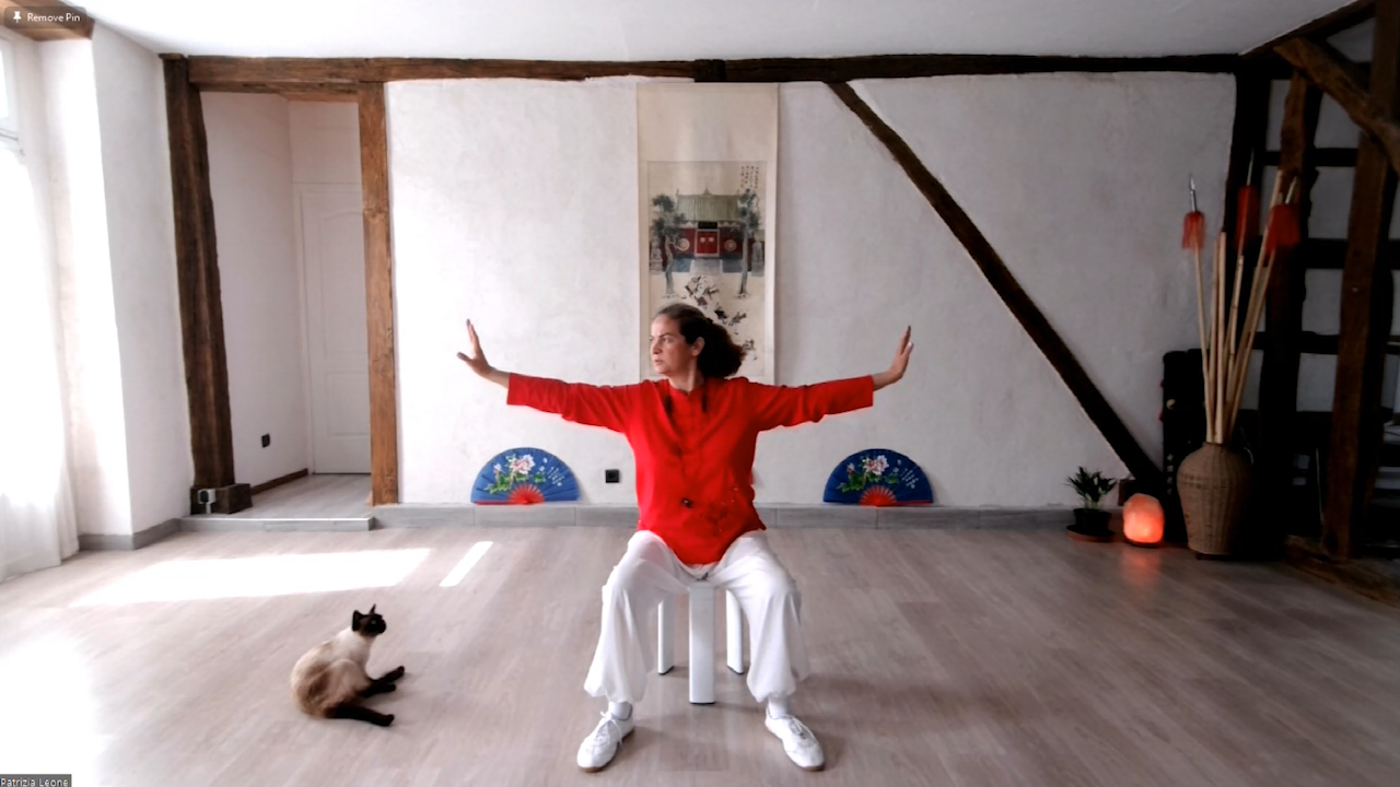 Seated Qigong